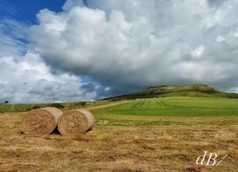 Hay bales east of Kimmeridge Bay