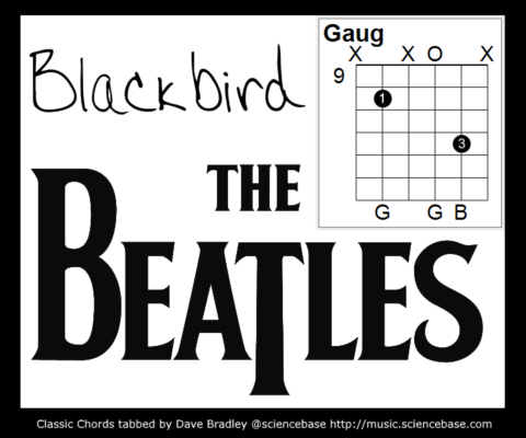 Resultat d'imatges de blackbird the beatles