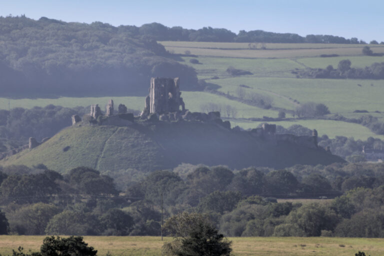 Corfe Castle from RSPB Arne