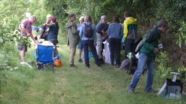 Mothing at Coton Orchard