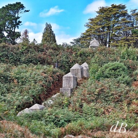 Anti-tank dragon's teeth, Studland