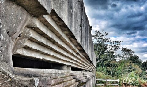 Fort Henry, Studland