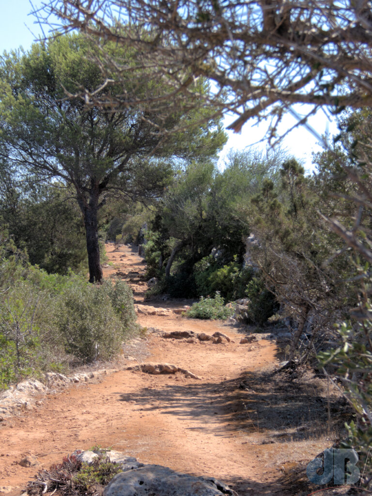 Looking back while heading for Llucalari