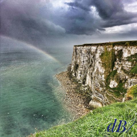 Bempton Cliffs