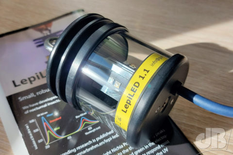 The LepiLED 1.1 - a UV lamp for studying light-attracted organisms at night