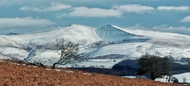 Snow-capped views of Pen y Fan and Corn Du as seen from our friends' back garden - what a view!