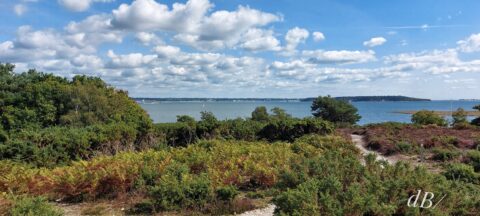 View of Poole Harbour from RSPB Arne