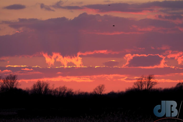 Sunset over the Fen