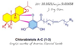SB-chlorabietols