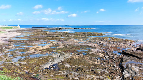 Rocks, Seahouses