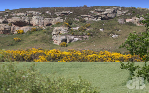 Rocky outcrop