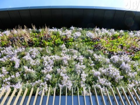 Court No. 1 Floral Tribute at Wimbledon