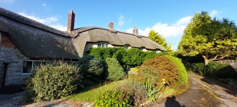 The cottage and neighbours