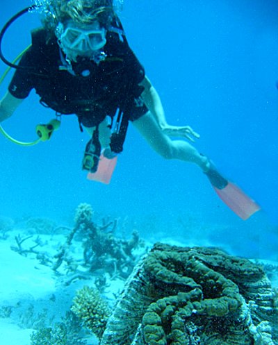 Diver on the Great Barrier Reef