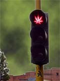 Cannabis red light - adapted from http://www.flickr.com/photos/aforero/434623972/