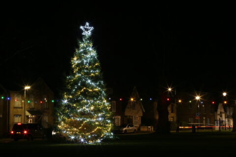 Village Green Christmas Tree 2018