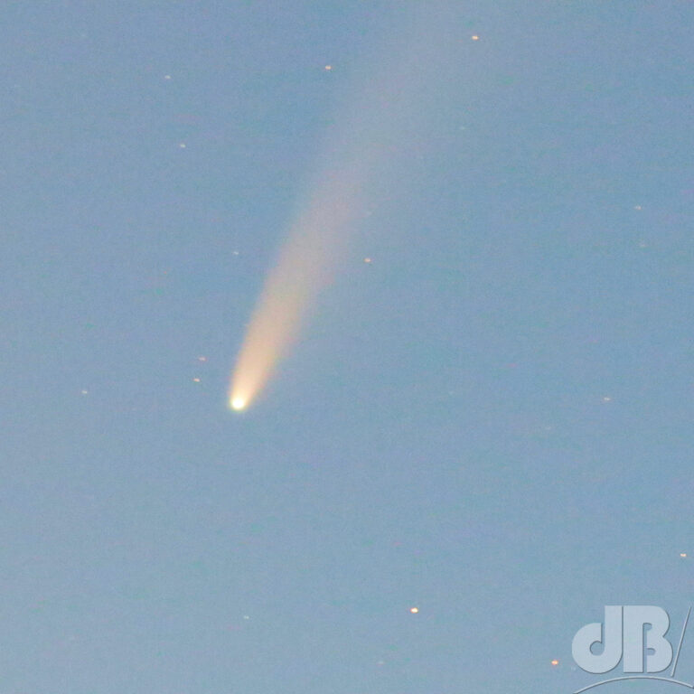 Comet NEOWISE in 2020, levels tweaked to brighten the image, although it did become visible at twilight in the northern sky.