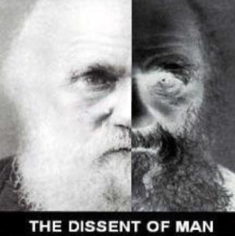 dissent-of-man