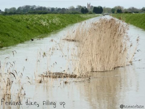 fenland-dike