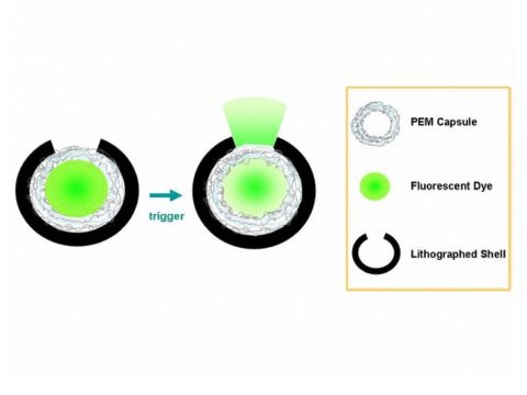 Nanotech drug delivery