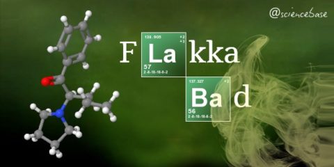 flakka-bad