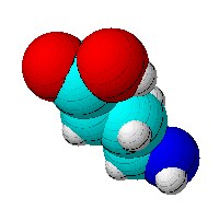 gaba chemical structure