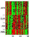 Genetic algorithm