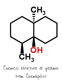 geosmin