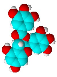 Green tea antibiotic