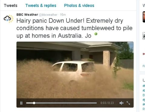 hairy-panic-down-under