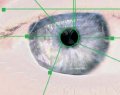 iris-recognition