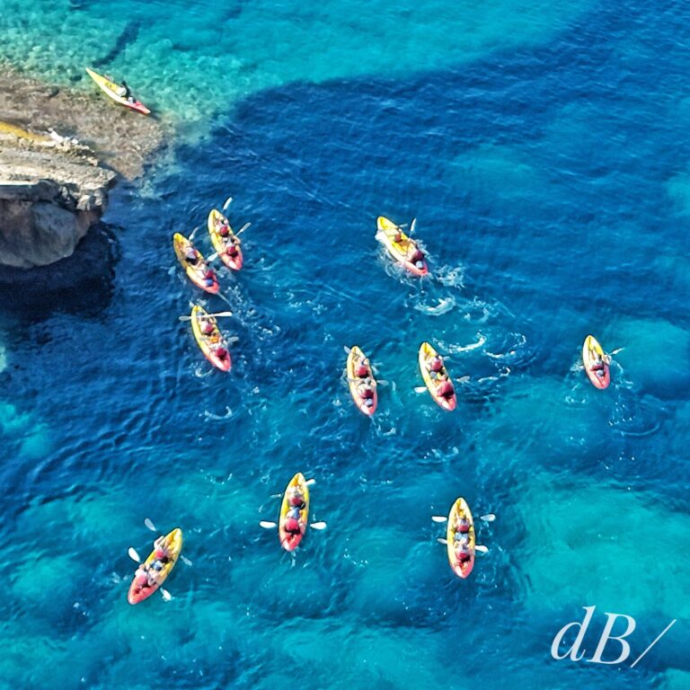 A school of kayaks