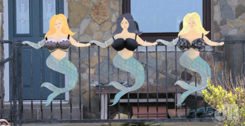 Mermaids in Seahouses