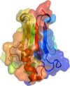 mitoneet protein