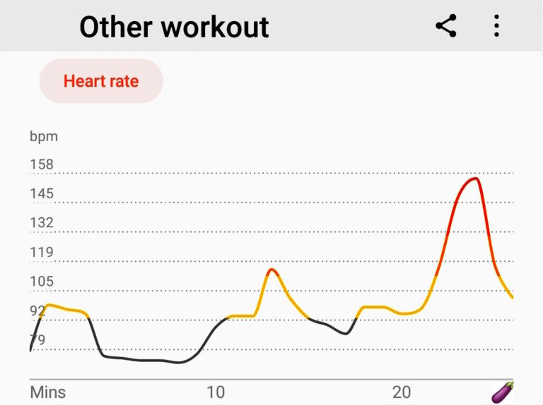 Heart rate recorded by a fake fitbit during sex