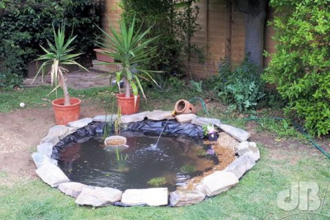 Garden pond