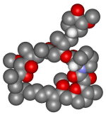 rapamycin