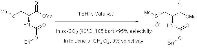 Rayner Scheme