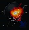 Stellar molecules