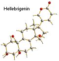 Structure of hellebrigenin