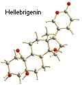 Structure of hellebrigenin