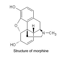 Structure of Morphine