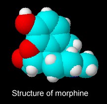3D Structure of Morphine