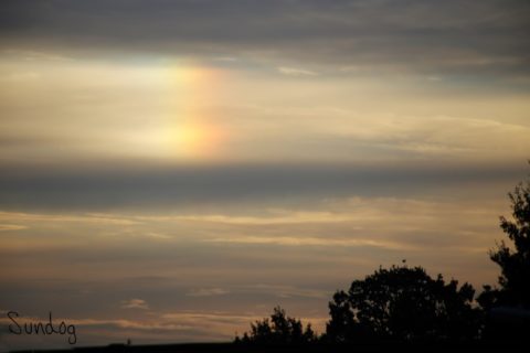 sundog