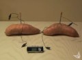 Sweet potato battery