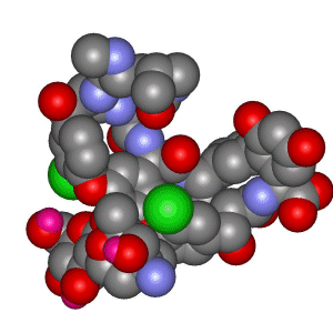 vancomycin