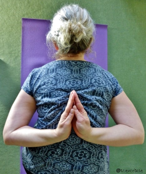 yoga-posture