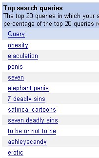 Sexy search queries